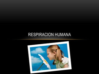 RESPIRACION HUMANA
 