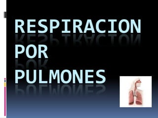 RESPIRACION POR PULMONES 