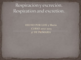 HECHO POR LUIS y Mario
   CURSO 2012-2013
   5º DE PRIMARIA
 
