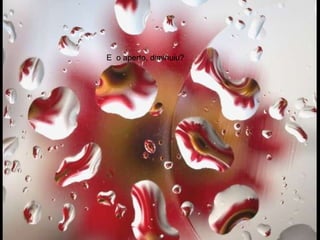 E  o aperto, diminuiu? 