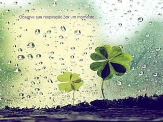 Observe sua respiração por um momento... 