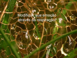 Modifique sua emoção através da respiração! 