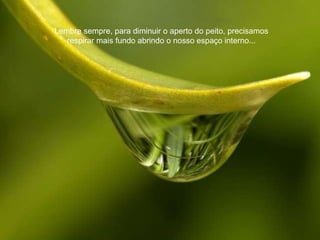 Lembre sempre, para diminuir o aperto do peito, precisamos respirar mais fundo abrindo o nosso espaço interno... 