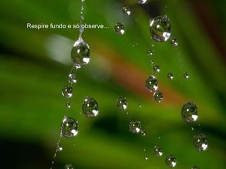 Respire fundo e só observe... 