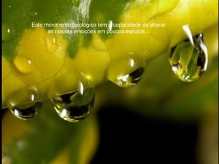 Este movimento fisiológico tem a capacidade de alterar as nossas emoções em poucos minutos... 