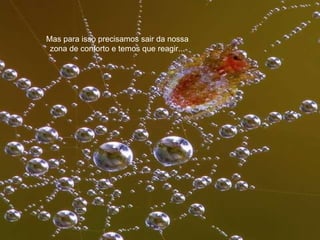 Mas para isso precisamos sair da nossa zona de conforto e temos que reagir... 