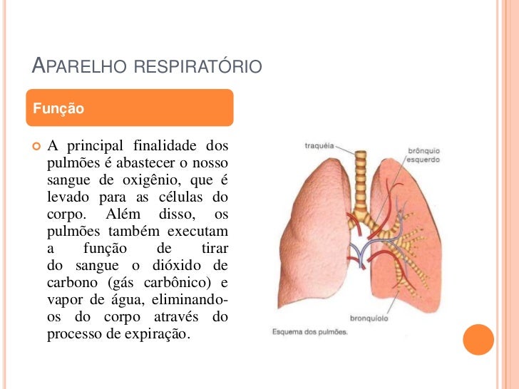 Respira o