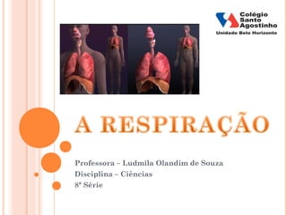 Professora – Ludmila Olandim de Souza 
Disciplina – Ciências 
8ª Série 
 