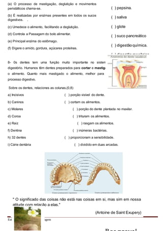 Estudo Dirigido de Aprendizagem
(a) O processo de mastigação, deglutição e movimentos
peristálticos chama-se.
(b) É realizadas por enzimas presentes em todos os sucos
digestivos. .
(c) Umedece o alimento, facilitando a deglutição.
(d) Controla a Passagem do bolo alimentar.
(e) Principal enzima do estômago.
(f) Digere o amido, gordura, açúcares proteínas.
8- 0s dentes tem uma função muito importante no sistema
digestório. Humanos têm dentes preparados para cortar e mastigar
o alimento. Quanto mais mastigado o alimento, melhor para o
processo digestivo.
Sobre os dentes, relaciones as colunas.(0,8)
a) Incisivos ( ) porção visível do dente.
b) Caninos ( ) cortam os alimentos.
c) Molares ( ) porção do dente plantada no maxilar.
d) Coroa ( ) trituram os alimentos.
e) Raiz ( ) rasgam os alimentos.
f) Dentina ( ) inúmeras bactérias.
h) 32 dentes ( ) proporcionam a sensibilidade.
i) Cárie dentária ( ) dividido em duas arcadas.
( ) pepsina.
( ) saliva
( ) glote
( ) suco pancreático
( ) digestão química.
( ) digestão mecânica
" O significado das coisas não está nas coisas em si, mas sim em nossa
atitude com relação a elas."
(Antoine de Saint Exupery)
 
