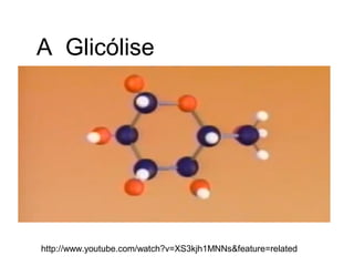 A Glicólise




http://www.youtube.com/watch?v=XS3kjh1MNNs&feature=related
 
