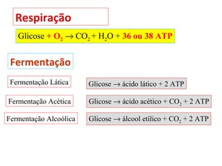 Respiração
   Glicose + O2 → CO2 + H2O + 36 ou 38 ATP


 Fermentação
 Fermentação Lática     Glicose → ácido lático + 2 ATP

Fermentação Acética     Glicose → ácido acético + CO2 + 2 ATP

Fermentação Alcoólica   Glicose → álcool etílico + CO2 + 2 ATP
 