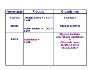 fermentação          Produto                  Organismos
  alcoólica   Etanol( álcool) + 2 CO2 +         Leveduras
              2 ATP

  acética                                   algumas bactérias
              Acido acético +   CO2 +
              2ATP
                                            Algumas bactérias
                                          anaeróbicas facultativas
   Lática     Ácido lático +                         e
              2 ATP                          Células da nossa
                                             MUSCULATURA
                                              ESQUELÉTICA
 