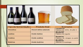 Respiração aeróbica