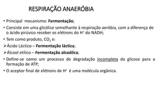 RESPIRAÇÃO ANAERÓBIA
• Principal mecanismo: Fermentação;
• Consiste em uma glicólise semelhante à respiração aeróbia, com a diferença de
o ácido pirúvico receber os elétrons do H+ do NADH;
• Tem como produto, CO2 e:
Ácido Láctico – Fermentação láctica;
Álcool etílico – Fermentação alcoólica;
• Define-se como um processo de degradação incompleta da glicose para a
formação de ATP;
• O aceptor final de elétrons de H+ é uma molécula orgânica.
 