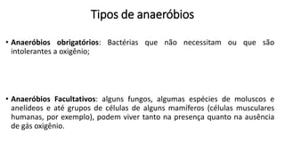 Tipos de anaeróbios
• Anaeróbios obrigatórios: Bactérias que não necessitam ou que são
intolerantes a oxigênio;
• Anaeróbios Facultativos: alguns fungos, algumas espécies de moluscos e
anelídeos e até grupos de células de alguns mamíferos (células musculares
humanas, por exemplo), podem viver tanto na presença quanto na ausência
de gás oxigênio.
 