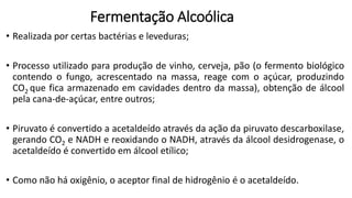 Fermentação Alcoólica
• Realizada por certas bactérias e leveduras;
• Processo utilizado para produção de vinho, cerveja, pão (o fermento biológico
contendo o fungo, acrescentado na massa, reage com o açúcar, produzindo
CO2 que fica armazenado em cavidades dentro da massa), obtenção de álcool
pela cana-de-açúcar, entre outros;
• Piruvato é convertido a acetaldeído através da ação da piruvato descarboxilase,
gerando CO2 e NADH e reoxidando o NADH, através da álcool desidrogenase, o
acetaldeído é convertido em álcool etílico;
• Como não há oxigênio, o aceptor final de hidrogênio é o acetaldeído.
 