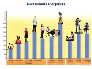 Necessidades energéticas 