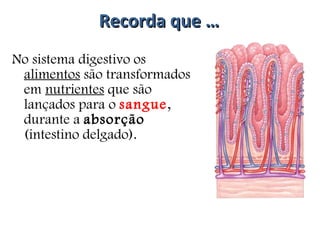 Recorda que … No sistema digestivo os  alimentos  são transformados em  nutrientes  que são lançados para o  sangue , durante a  absorção  (intestino delgado). 