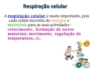 Respiração celular A  respiração celular  é muito importante, pois  cada célula necessita de  energia  e  materiais  para as suas actividades –  crescimento ,  formação de novos materiais ,  movimento ,  regulação de temperatura , etc. 