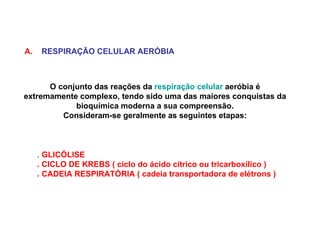 A.   RESPIRAÇÃO CELULAR AERÓBIA O conjunto das reações da  respiração celular  aeróbia é extremamente complexo, tendo sido uma das maiores conquistas da bioquímica moderna a sua compreensão. Consideram-se geralmente as seguintes etapas: .  GLICÓLISE . CICLO DE KREBS ( ciclo do ácido cítrico ou tricarboxílico ) . CADEIA RESPIRATÓRIA ( cadeia transportadora de elétrons ) 