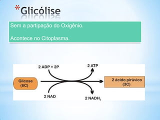 *
Sem a partipação do Oxigênio.

Acontece no Citoplasma.
 
