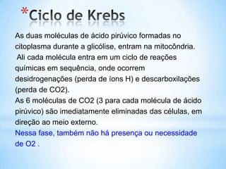 *
As duas moléculas de ácido pirúvico formadas no
citoplasma durante a glicólise, entram na mitocôndria.
 Ali cada molécula entra em um ciclo de reações
químicas em sequência, onde ocorrem
desidrogenações (perda de íons H) e descarboxilações
(perda de CO2).
As 6 moléculas de CO2 (3 para cada molécula de ácido
pirúvico) são imediatamente eliminadas das células, em
direção ao meio externo.
Nessa fase, também não há presença ou necessidade
de O2 .
 