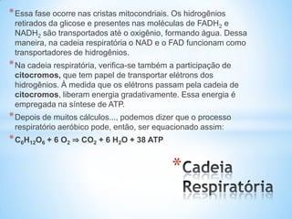 * Essa fase ocorre nas cristas mitocondriais. Os hidrogênios
 retirados da glicose e presentes nas moléculas de FADH2 e
 NADH2 são transportados até o oxigênio, formando água. Dessa
 maneira, na cadeia respiratória o NAD e o FAD funcionam como
 transportadores de hidrogênios.
* Na cadeia respiratória, verifica-se também a participação de
 citocromos, que tem papel de transportar elétrons dos
 hidrogênios. À medida que os elétrons passam pela cadeia de
 citocromos, liberam energia gradativamente. Essa energia é
 empregada na síntese de ATP.
* Depois de muitos cálculos..., podemos dizer que o processo
 respiratório aeróbico pode, então, ser equacionado assim:
* C6H12O6 + 6 O2 ⇒ CO2 + 6 H2O + 38 ATP

                                             *
 