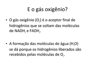 E o gás oxigênio?
• O gás oxigênio (O2) é o aceptor final de
hidrogênios que se soltam das moléculas
de NADH2 e FADH2.
• A formação das moléculas de água (H2O)
se dá porque os hidrogênios liberados são
recebidos pelas moléculas de O2.
 