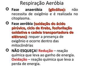 Respiração Aeróbia
 Fase anaeróbiaFase anaeróbia (glicólise):(glicólise): não
necessita de oxigênio e é realizada no
citoplasma.
 Fase aeróbiaFase aeróbia (oxidação do ácido(oxidação do ácido
pirúvico, ciclo de Krebs, fosforilaçãopirúvico, ciclo de Krebs, fosforilação
oxidativa e cadeia transportadora deoxidativa e cadeia transportadora de
elétrons)elétrons): requer a presença de
oxigênio e ocorre dentro das
mitocôndrias
 NÃO ESQUEÇA!NÃO ESQUEÇA! Redução – reação
química que leva ao ganho de energia.
Oxidação – reação química que leva a
perda de energia.
 