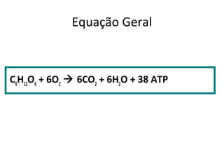 Equação Geral
C6
H12
O6
+ 6O2
 6CO2
+ 6H2
O + 38 ATP
 
