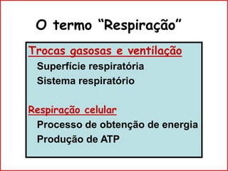 O termo “Respiração”
Trocas gasosas e ventilação
Superfície respiratória
Sistema respiratório
Respiração celular
Processo de obtenção de energia
Produção de ATP
 