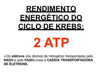 RENDIMENTO
ENERGÉTICO DO
CICLO DE KREBS:
2 ATP
Os elétrons dos átomos de hidrogênio transportados pelo
NADH e pelo FADH2 inicia a CADEIA TRANSPORTADORA
DE ÉLETRONS.
 