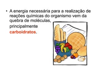 • A energia necessária para a realização de
reações químicas do organismo vem da
quebra de moléculas,
principalmente
carboidratos.
 