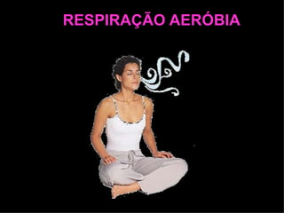 RESPIRAÇÃO AERÓBIA
 