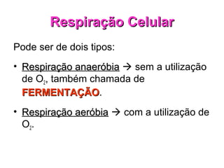 Respiração CelularRespiração Celular
Pode ser de dois tipos:
• Respiração anaeróbiaRespiração anaeróbia  sem a utilização
de O2, também chamada de
FERMENTAÇÃOFERMENTAÇÃO.
• Respiração aeróbiaRespiração aeróbia  com a utilização de
O2.
 