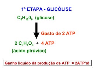 C6H1206 (glicose)
Gasto de 2 ATP
2 C3H4O3 + 4 ATP
(ácido pirúvico)
1ª ETAPA - GLICÓLISE
Ganho líquido da produção de ATP = 2ATP’s!
 