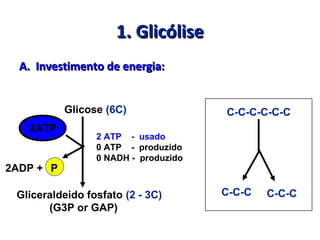 1. Glicólise1. Glicólise
A. Investimento de energia:A. Investimento de energia:
Glicose (6C)
Gliceraldeido fosfato (2 - 3C)
(G3P or GAP)
2 ATP - usado
0 ATP - produzido
0 NADH - produzido
2ATP
2ADP + P
C-C-C-C-C-C
C-C-C C-C-C
 