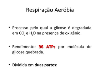 Respiração Aeróbia
• Processo pelo qual a glicose é degradada
em CO2 e H2O na presença de oxigênio.
• Rendimento: 36 ATPs36 ATPs por molécula de
glicose quebrada.
• Dividida em duas partes:
 