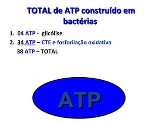 TOTAL de ATP construído emTOTAL de ATP construído em
bactériasbactérias
1. 04 ATP - glicólise
2. 34 ATP – CTE e fosforilação oxidativa
38 ATP – TOTAL
ATPATP
 