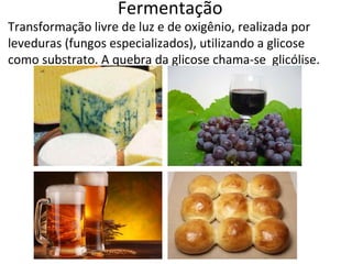 Fermentação
Transformação livre de luz e de oxigênio, realizada por
leveduras (fungos especializados), utilizando a glicose
como substrato. A quebra da glicose chama-se glicólise.
 