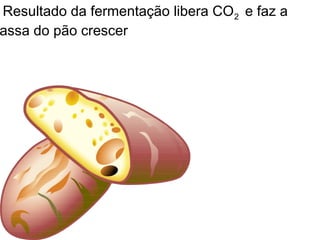 Resultado da fermentação libera CO2 e faz a
assa do pão crescer
 