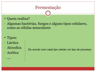 Fermentação Quem realiza? Algumas bactérias, fungos e alguns tipos celulares, como as células musculares Tipos: Láctica Alcoolica Acética .... De acordo com cada tipo celular um tipo de processo 