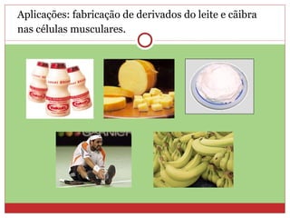 Aplicações: fabricação de derivados do leite e cãibra nas células musculares. 