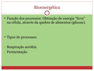 Bioenergética Função dos processos: Obtenção de energia “livre” na célula, através da quebra de alimentos (glicose). Tipos de processos: Respiração aeróbia Fermentação 