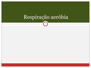 Respiração aeróbia 