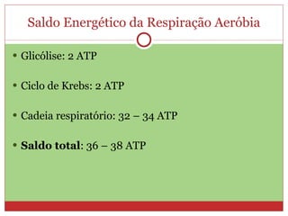 Saldo Energético da Respiração Aeróbia Glicólise: 2 ATP Ciclo de Krebs: 2 ATP Cadeia respiratório: 32 – 34 ATP Saldo total : 36 – 38 ATP 