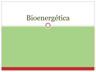 Bioenergética 