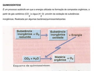 QUIMIOSSÍNTESE

É um processo autótrofo em que a energia utilizada na formação de compostos orgânicos, a

partir de gás carbônico (CO ) e água (H O) provém da oxidação de substâncias
                           2           2
inorgânicas. Realizada por algumas bactérias(quimiossintetizantes
 
