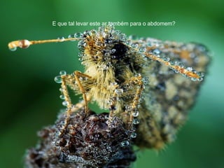 E que tal levar este ar também para o abdomem?
 