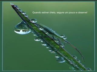 Quando estiver cheio, segure um pouco e observe!
 